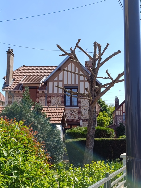 Crédit photo : cerema Maison régionaliste de cité-jardin